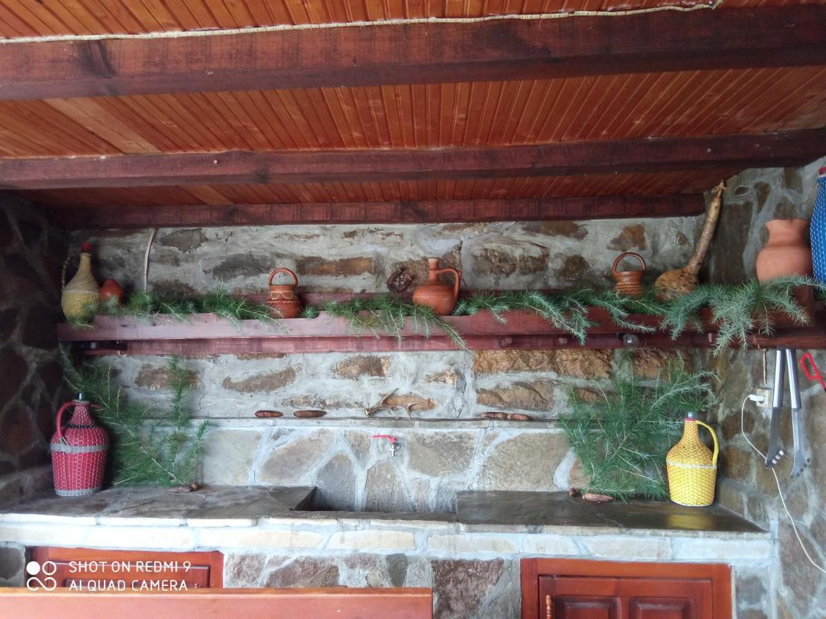 Дядо Цоньовата Къща Villa Sevlievo Buitenkant foto